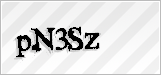 CAPTCHA security code