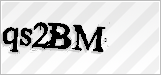 CAPTCHA security code