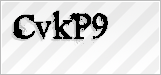CAPTCHA security code
