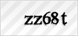 CAPTCHA security code