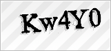 CAPTCHA security code