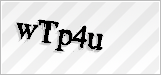 CAPTCHA security code