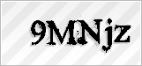 CAPTCHA security code