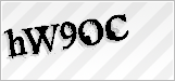 CAPTCHA security code