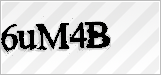 CAPTCHA security code