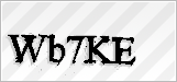 CAPTCHA security code