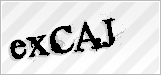 CAPTCHA security code