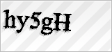 CAPTCHA security code