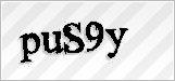 CAPTCHA security code