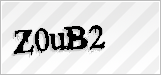 CAPTCHA security code