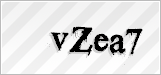 CAPTCHA security code