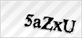 CAPTCHA security code