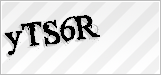 CAPTCHA security code