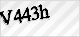 CAPTCHA security code