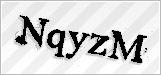 CAPTCHA security code