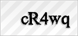 CAPTCHA security code
