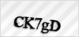 CAPTCHA security code