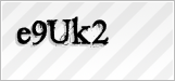 CAPTCHA security code