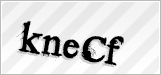 CAPTCHA security code