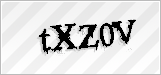 CAPTCHA security code