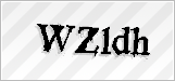 CAPTCHA security code