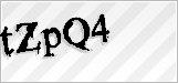 CAPTCHA security code