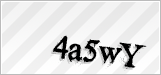 CAPTCHA security code