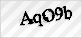 CAPTCHA security code