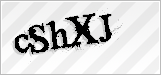 CAPTCHA security code