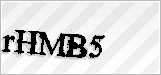 CAPTCHA security code
