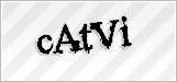 CAPTCHA security code