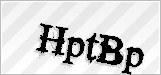 CAPTCHA security code