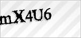 CAPTCHA security code