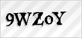 CAPTCHA security code