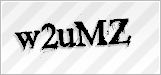 CAPTCHA security code