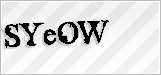 CAPTCHA security code