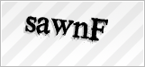 CAPTCHA security code