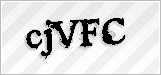 CAPTCHA security code