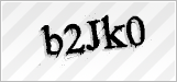 CAPTCHA security code