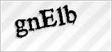 CAPTCHA security code