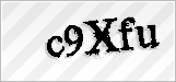 CAPTCHA security code