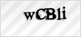 CAPTCHA security code