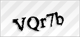 CAPTCHA security code