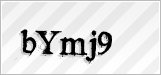 CAPTCHA security code