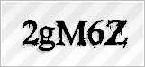 CAPTCHA security code