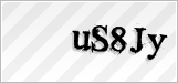 CAPTCHA security code