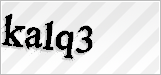 CAPTCHA security code