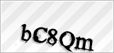 CAPTCHA security code