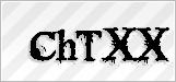 CAPTCHA security code