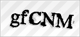 CAPTCHA security code